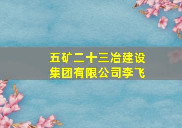 五矿二十三冶建设集团有限公司李飞