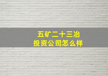 五矿二十三冶投资公司怎么样