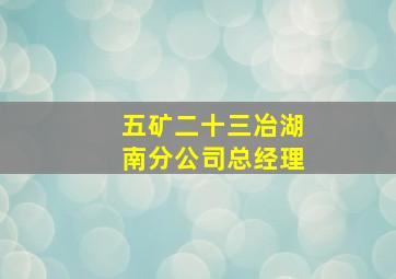 五矿二十三冶湖南分公司总经理