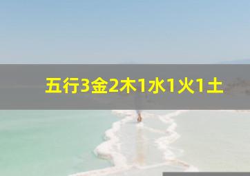 五行3金2木1水1火1土