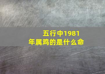 五行中1981年属鸡的是什么命