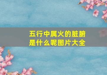 五行中属火的脏腑是什么呢图片大全