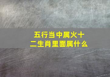 五行当中属火十二生肖里面属什么