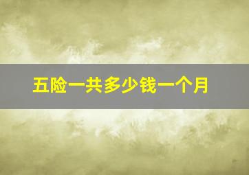 五险一共多少钱一个月