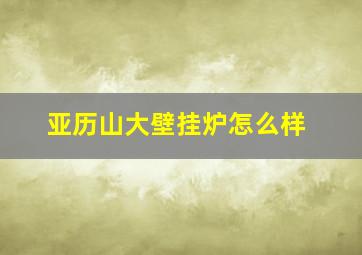 亚历山大壁挂炉怎么样