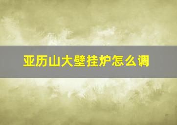 亚历山大壁挂炉怎么调