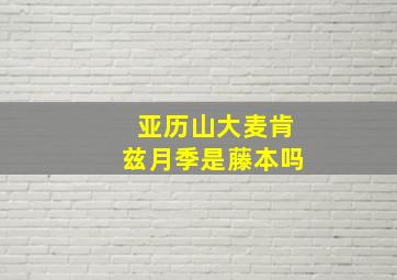 亚历山大麦肯兹月季是藤本吗