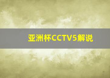 亚洲杯CCTV5解说