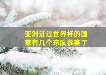 亚洲进过世界杯的国家有几个球队参赛了