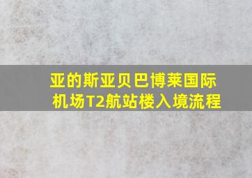 亚的斯亚贝巴博莱国际机场T2航站楼入境流程