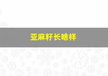 亚麻籽长啥样