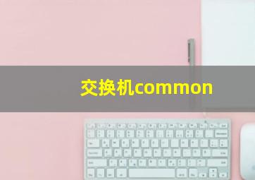 交换机common