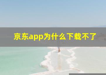 京东app为什么下载不了