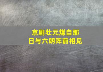 京剧壮元煤自那日与六朗阵前相见