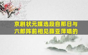 京剧状元媒选段自那日与六郎阵前相见薛亚萍唱的