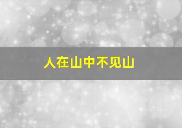 人在山中不见山