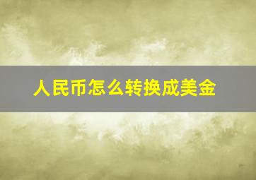 人民币怎么转换成美金