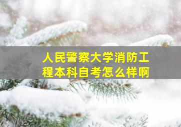 人民警察大学消防工程本科自考怎么样啊