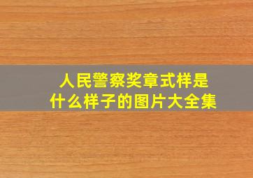 人民警察奖章式样是什么样子的图片大全集