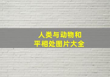 人类与动物和平相处图片大全