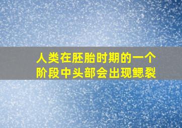 人类在胚胎时期的一个阶段中头部会出现鳃裂