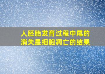 人胚胎发育过程中尾的消失是细胞凋亡的结果