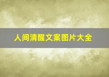 人间清醒文案图片大全