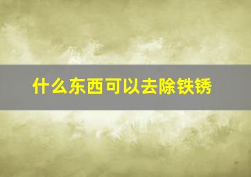 什么东西可以去除铁锈