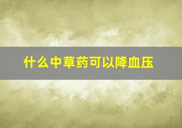 什么中草药可以降血压