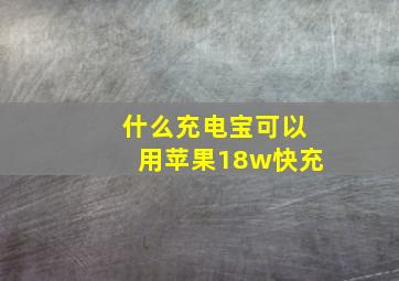 什么充电宝可以用苹果18w快充