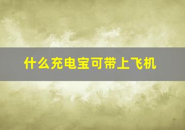 什么充电宝可带上飞机