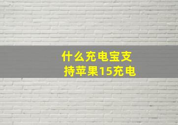 什么充电宝支持苹果15充电