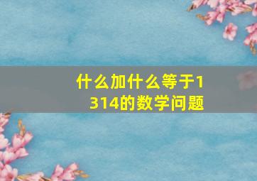 什么加什么等于1314的数学问题