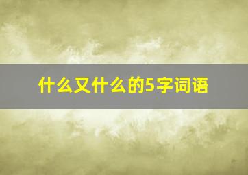 什么又什么的5字词语