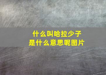 什么叫哈拉少子是什么意思呢图片