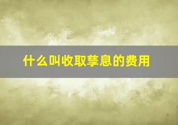 什么叫收取孳息的费用