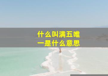 什么叫满五唯一是什么意思