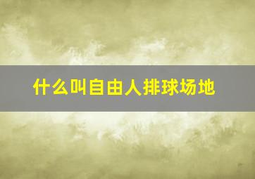 什么叫自由人排球场地