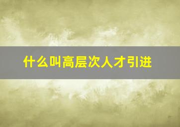 什么叫高层次人才引进