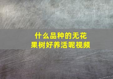 什么品种的无花果树好养活呢视频