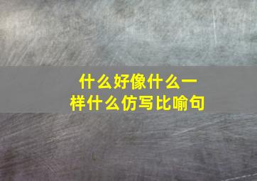 什么好像什么一样什么仿写比喻句