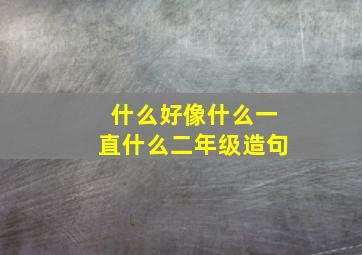 什么好像什么一直什么二年级造句