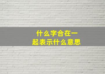 什么字合在一起表示什么意思