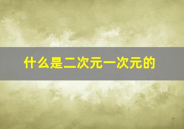 什么是二次元一次元的