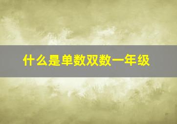 什么是单数双数一年级