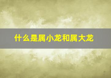 什么是属小龙和属大龙