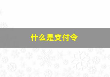 什么是支付令