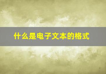 什么是电子文本的格式