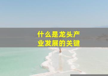 什么是龙头产业发展的关键