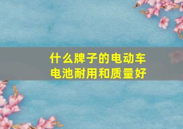 什么牌子的电动车电池耐用和质量好